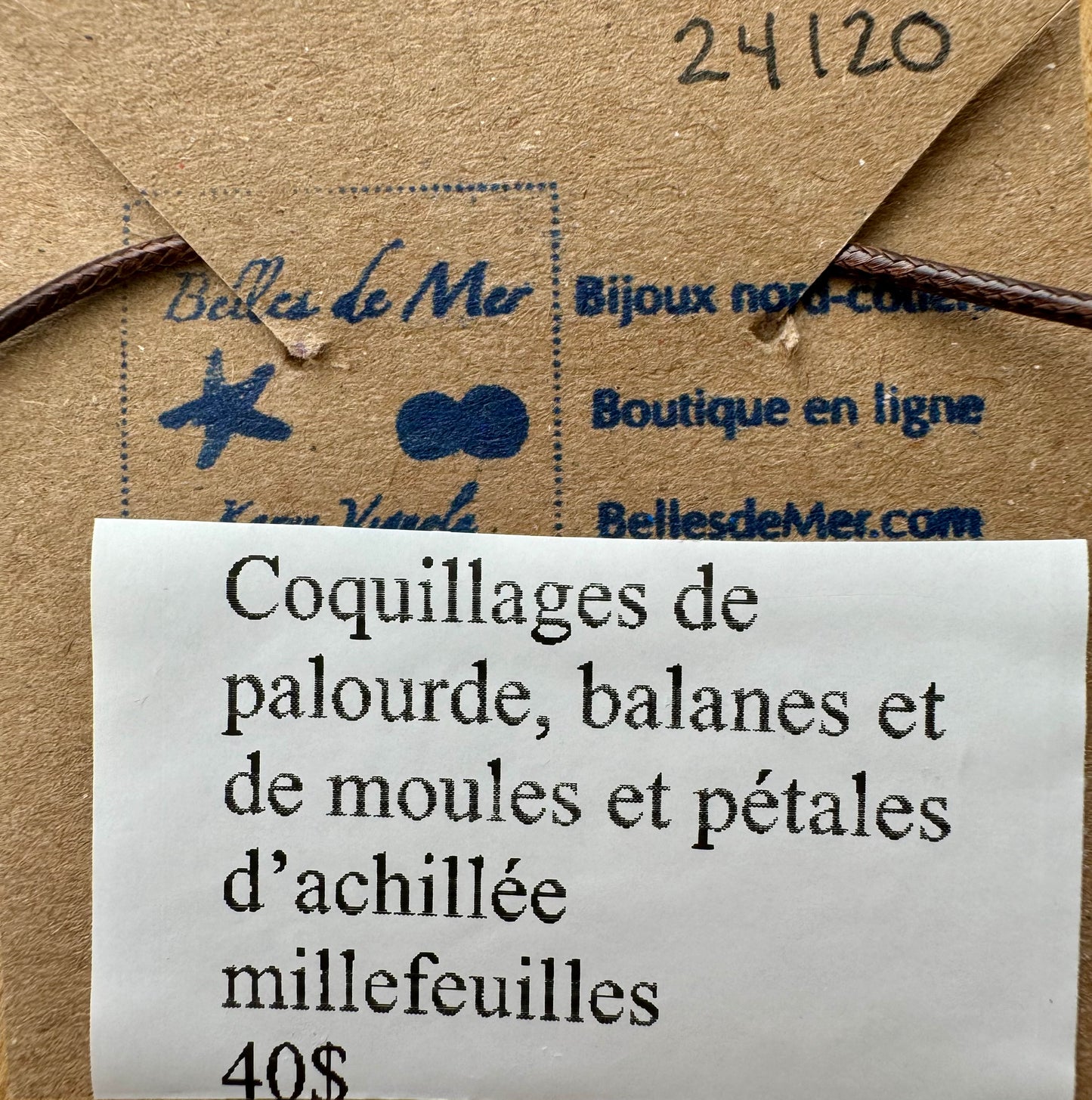 Pendentif coquillages de palourde, balanes et de moules et pétales d'achillée millefeuilles