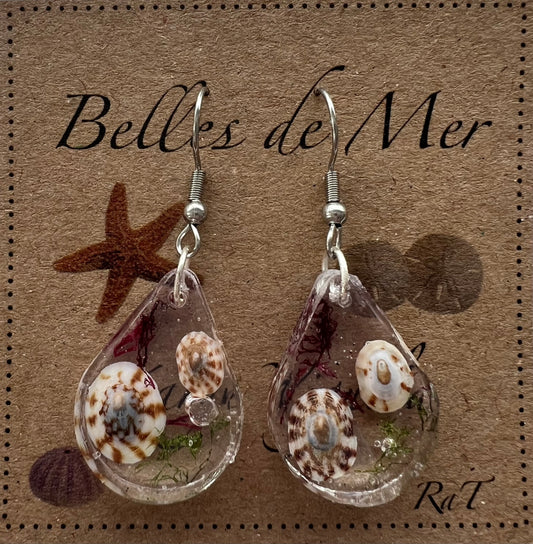 Boucles d’oreilles patelle du volcan et algues