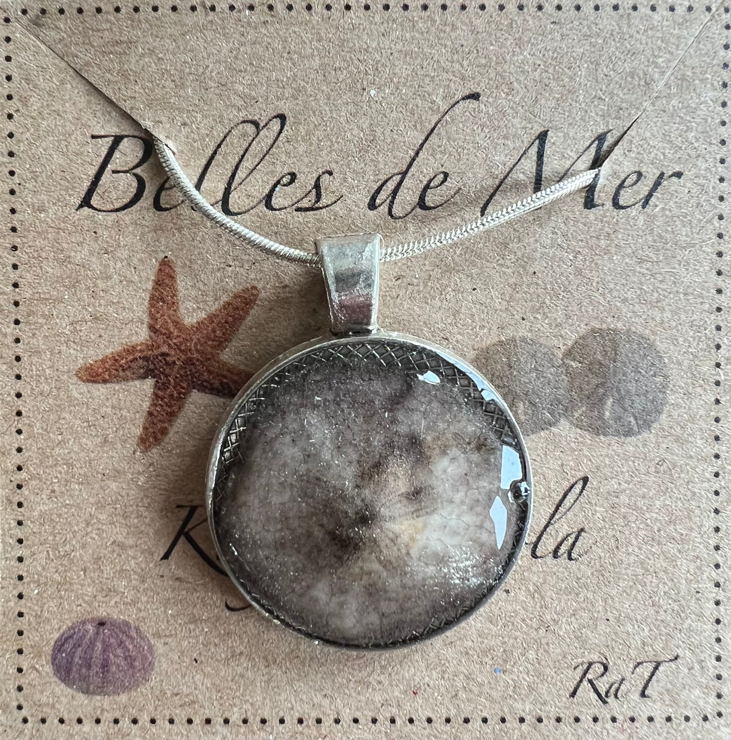 Pendentif dollar des sable