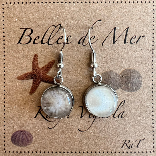 Boucles d’oreilles dollar des sables