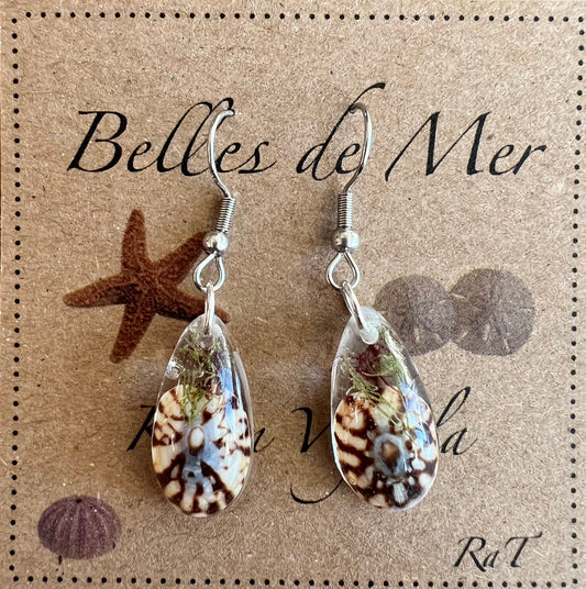 Boucles d’oreilles patelle et algues