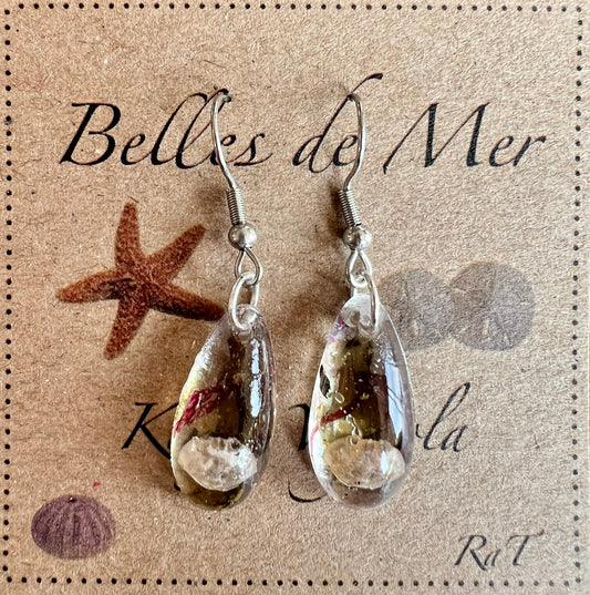 Boucles d’oreilles carapaces de crabes et algues