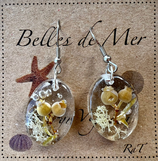 Boucles d’oreilles bleuets et lichen