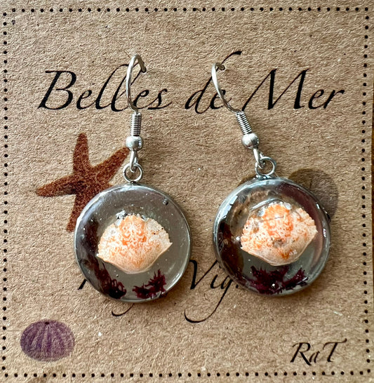 Boucles d’oreilles crabes et algues