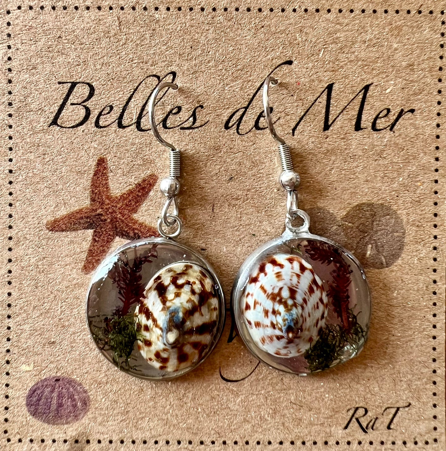 Boucles d’oreilles patelles du volcan et algues rouges