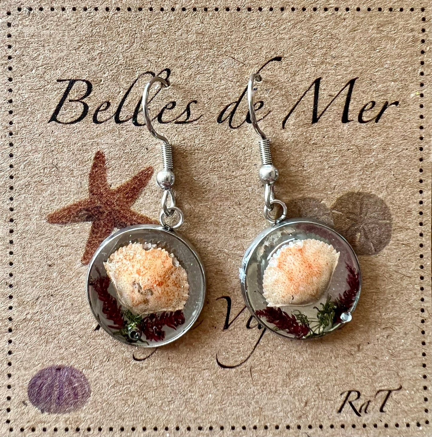 Boucles crabes tourteaux et algues rouges