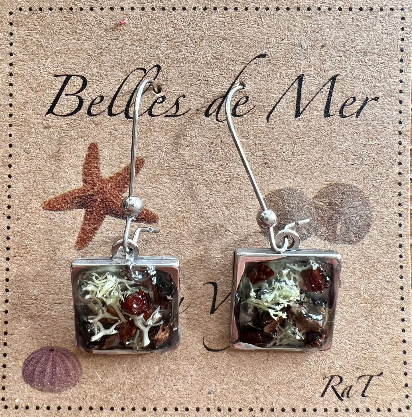 Boucles d’oreilles lichen et champignons