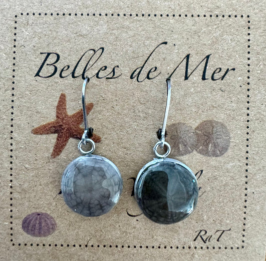 Boucles d'oreilles dollars des sables