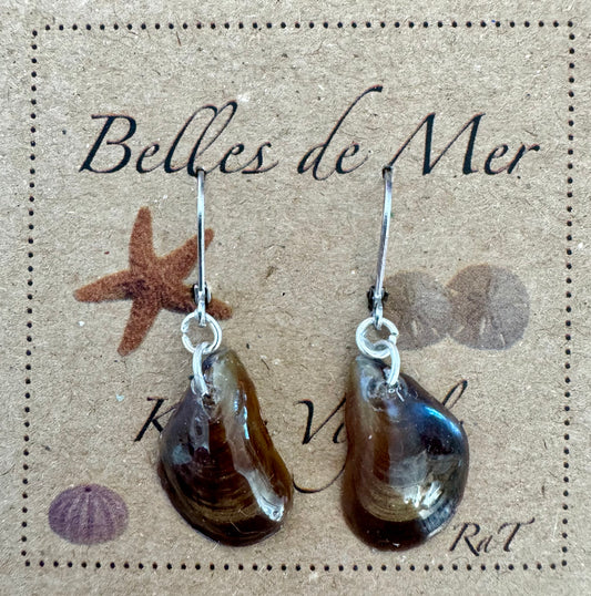 Boucles d'oreilles coquillages de moules