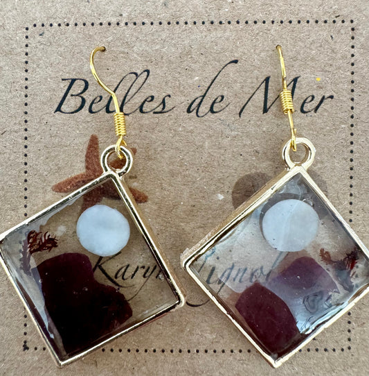 Boucles d'oreilles algues rouges et nacre de coquillages