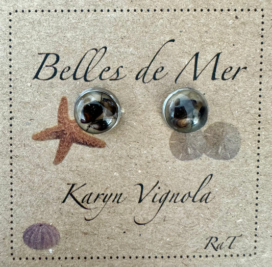 Boucles d'oreilles coquillages de pétoncles, moules et algues vertes