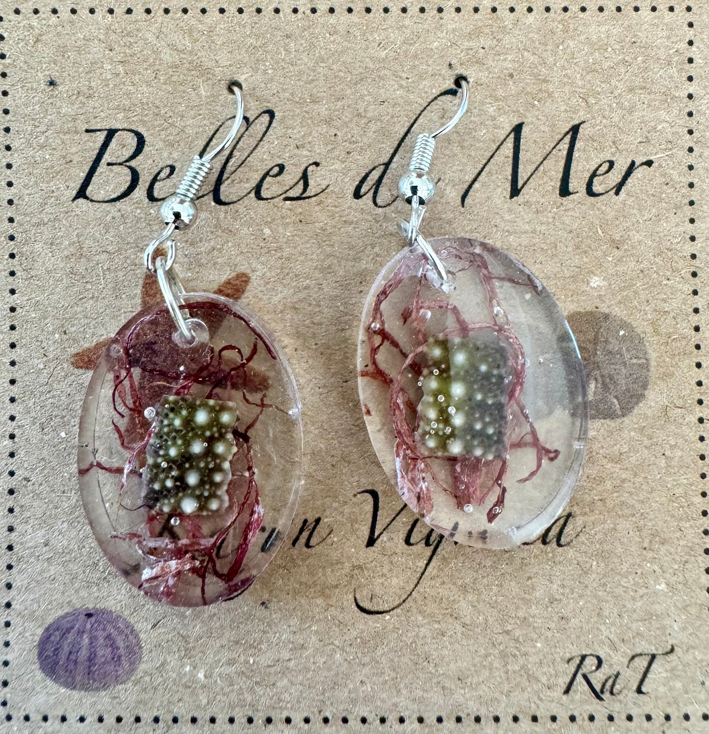 Boucles d'oreilles morceaux d'oursins verts et algues