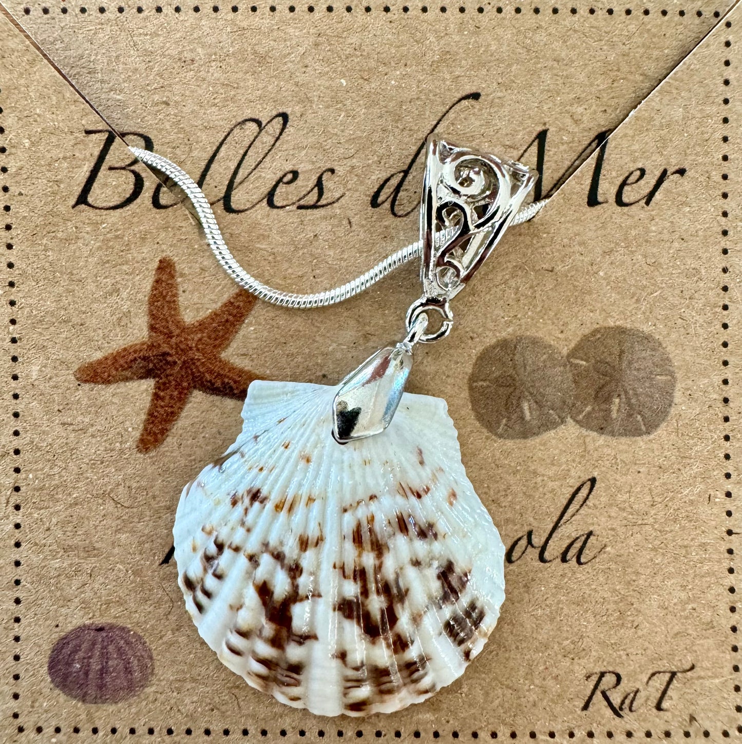 Pendentif coquillage de pétoncle calico