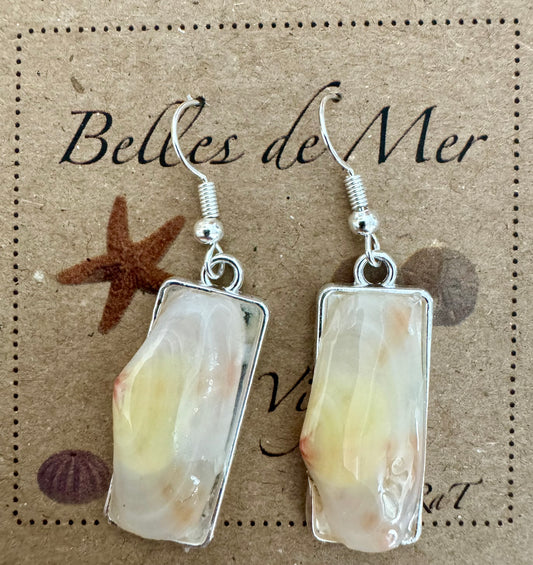 Boucles d'oreilles coquillages de tellines