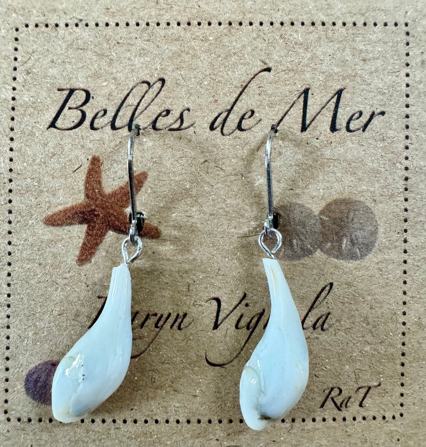 Boucles d'oreilles coquillages de mollusques