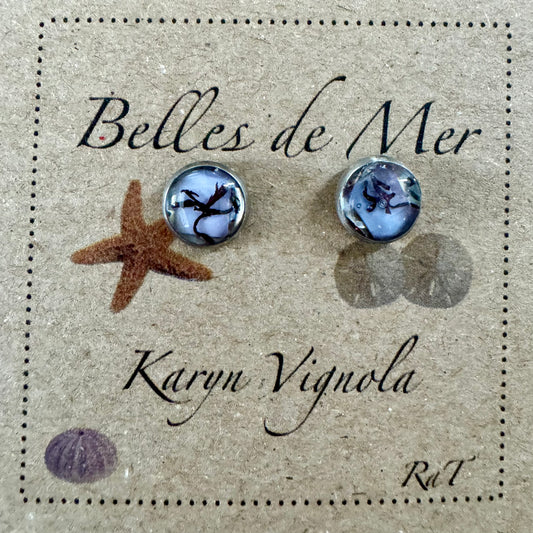 Boucles d'oreilles couteau de mer et algues rouges