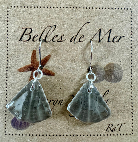 Boucles d'oreilles dollars des sables