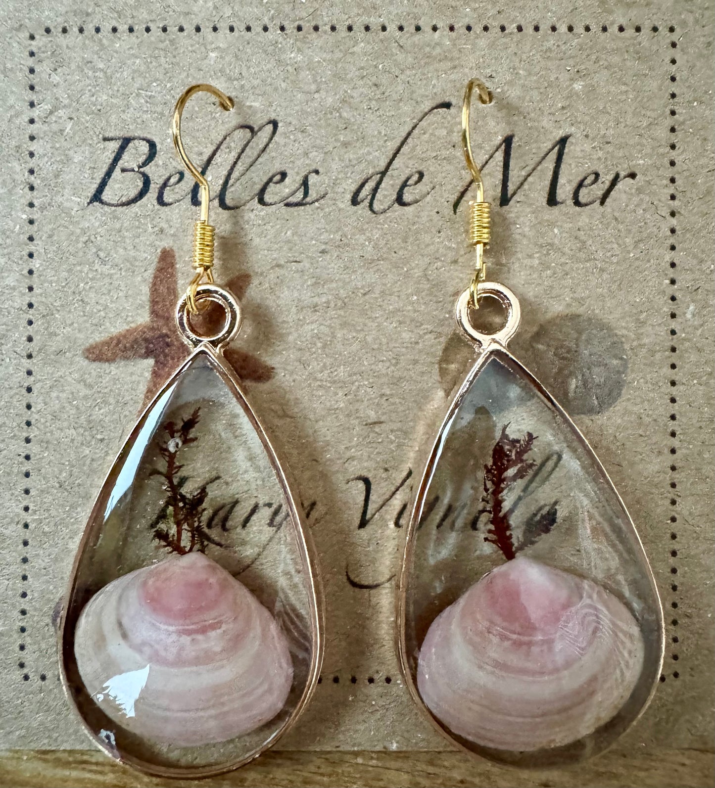 Boucles d'oreilles coquillage de palourde et algues rouges