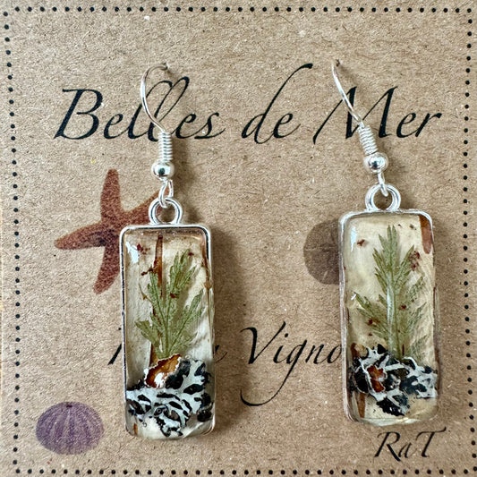 Boucles d'oreilles écorce de bouleau, lichen fougères et petite oseille