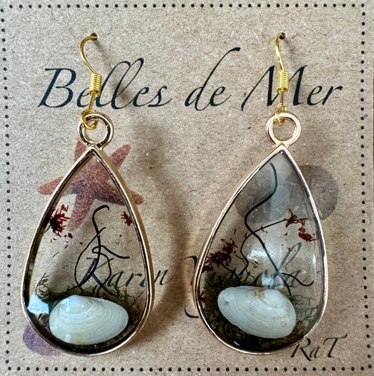 Boucles d'oreilles coquillages de palourdes et algues