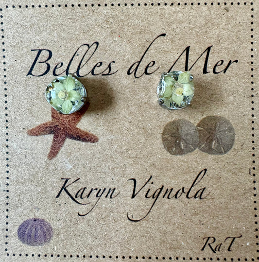 Boucles d'oreilles clintonie boréale