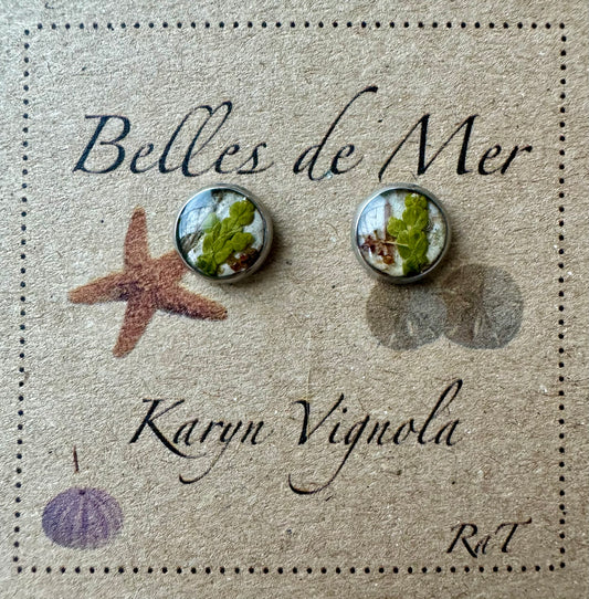 Boucles d'oreilles écorce de bouleau et cèdre