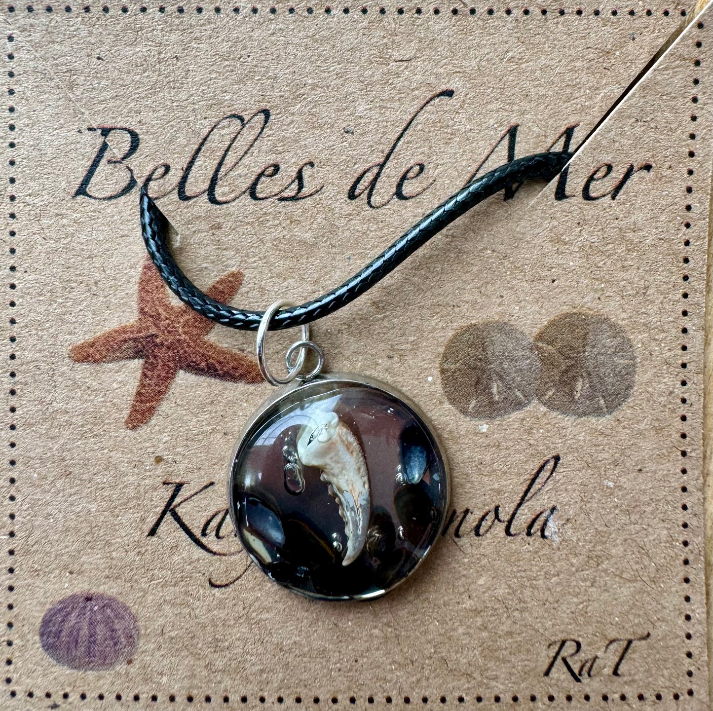 Pendentif coquillages de moules et pince de crabe