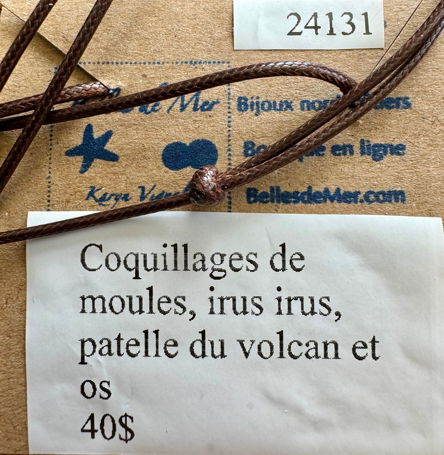 Pendentif coquillages de moules, irus irus, patelle du volcan et os