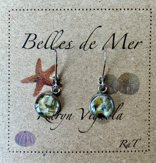 Boucles d'oreilles coquillages de palourdes