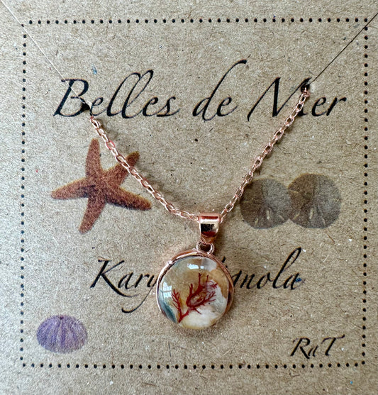 Pendentif coquillage de bourgot et algues rouges