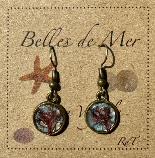 Boucles d'oreilles algues rouges et nacre de moules