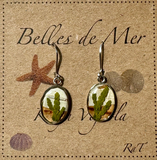 Boucles d'oreilles écorce de bouleau et cèdre