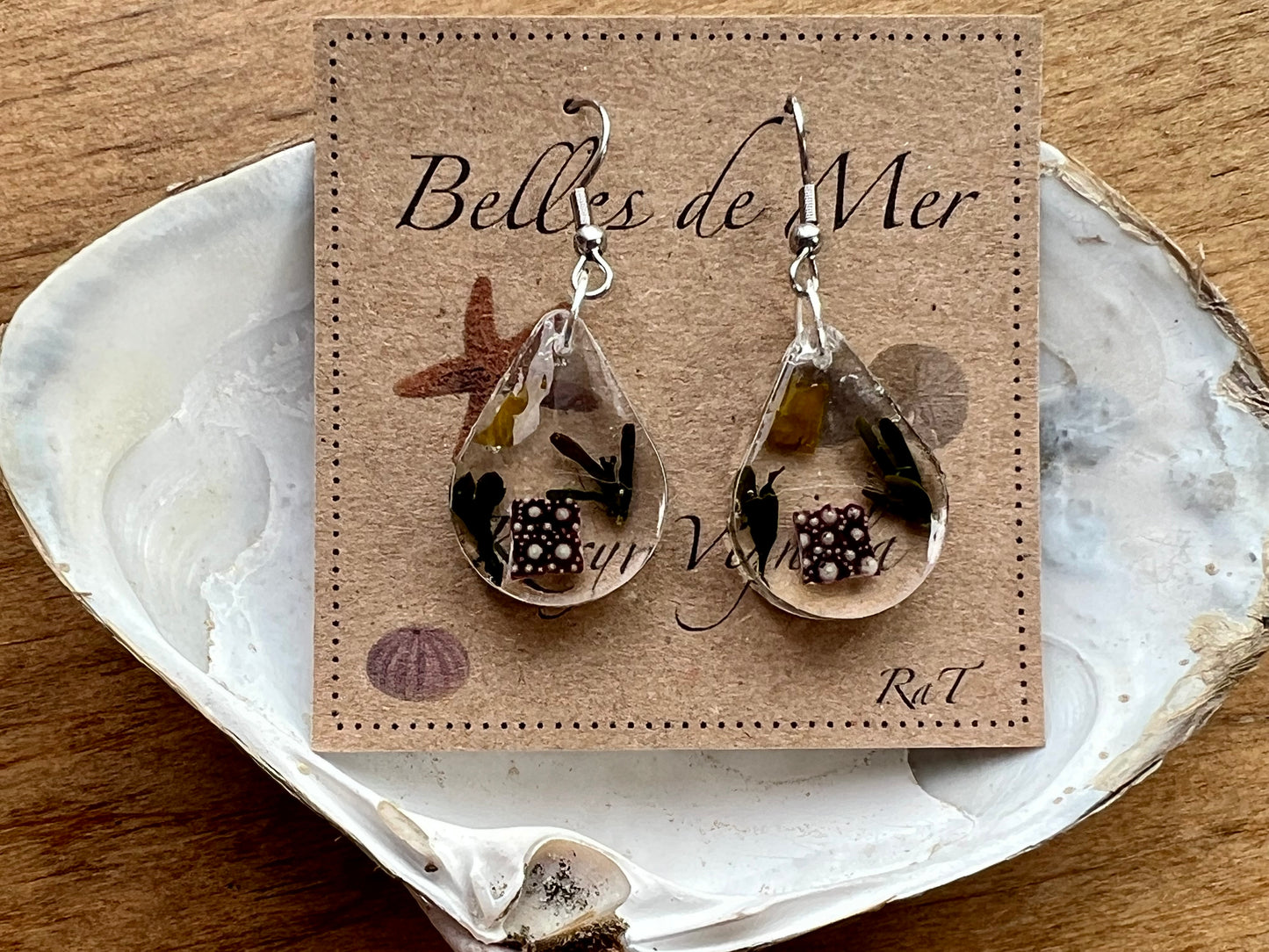 Boucles d’oreilles oursin, varech et laitue de mer