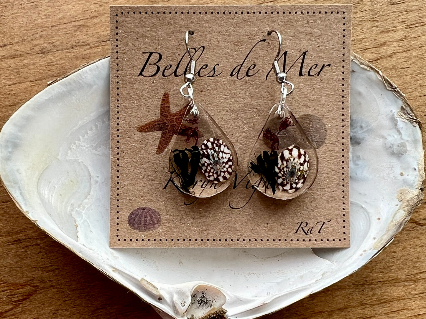 Boucles d’oreilles patelle du volcan