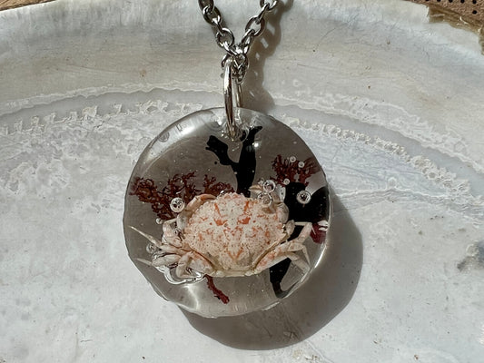 Pendentif crabe, varech et algues rouges