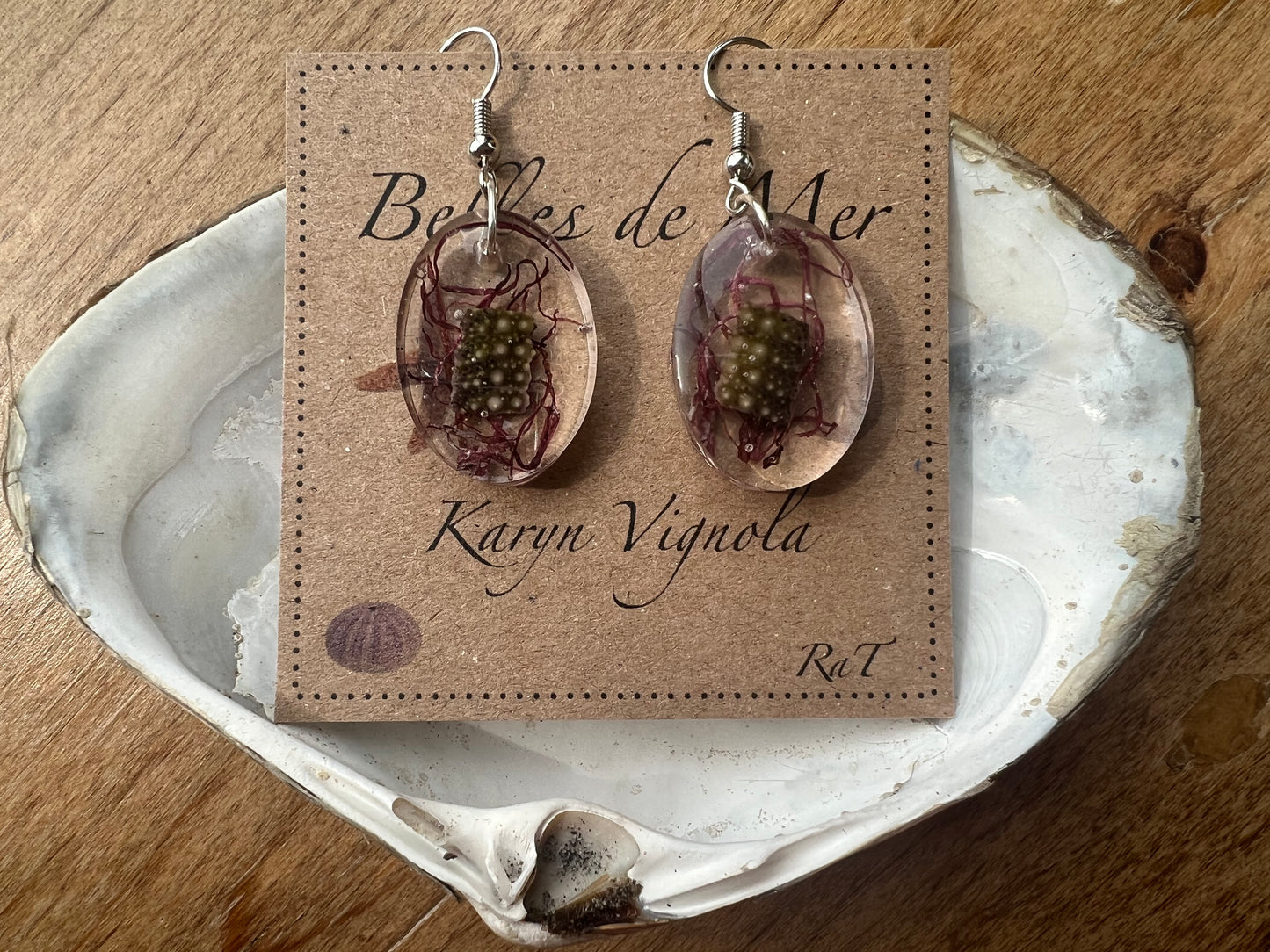 Boucles d’oreilles oursin vert et algues rouges